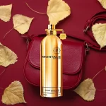 Nước Hoa Unisex Montale Aoud Leather