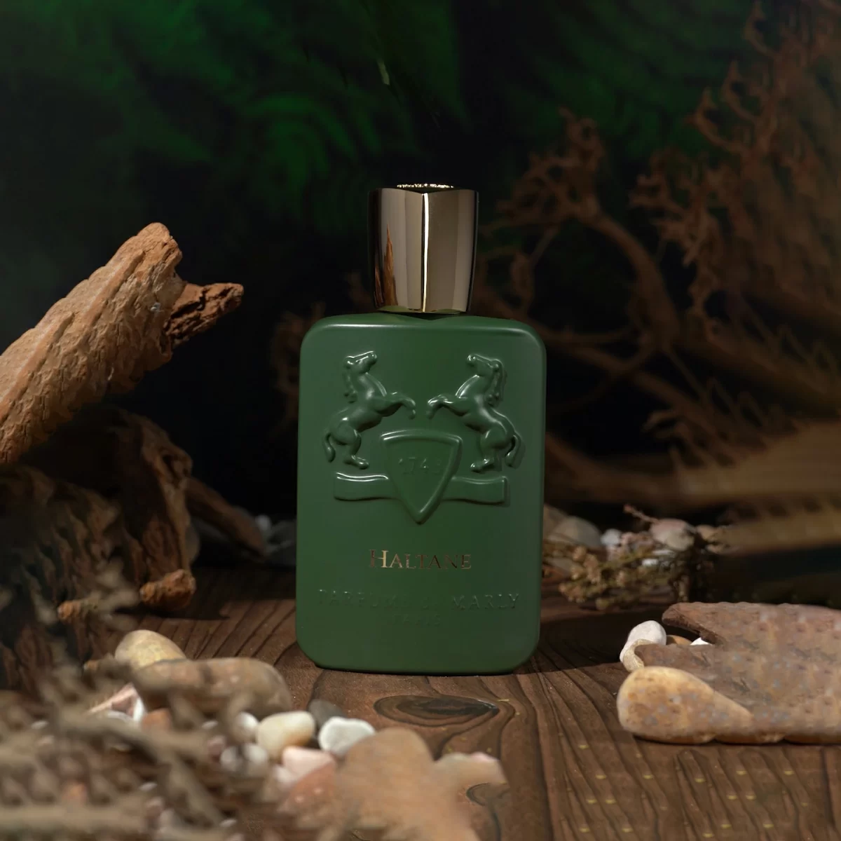 Nước Hoa Nam Parfums de Marly Haltane