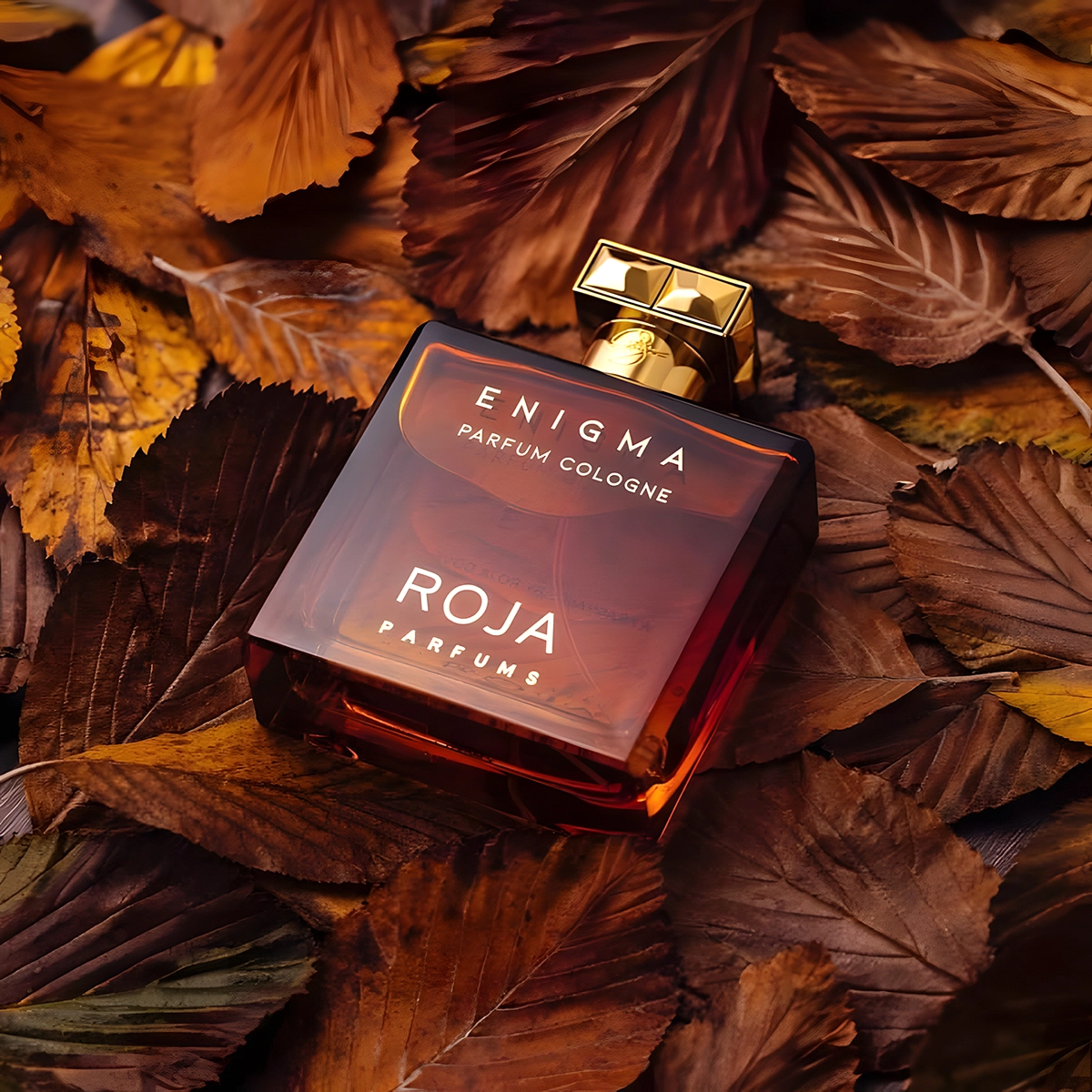 Nước Hoa Nam Roja Enigma Cologne